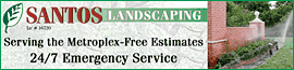 lawn maintenance & service
